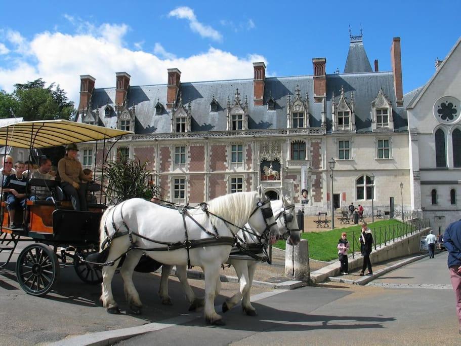 Blois City - Le Petit Louis XII Zewnętrze zdjęcie